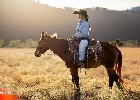 Firefly Einsamer Cowboy in der Prärie auf seinem Pferd im Gegenlicht 81049