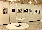 20 Ausstellung des Fototreffs Ladenburg bei der Vernissage Thema Auf die Perspektive kommt es an