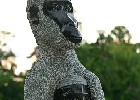 Christoph Buemer 024
