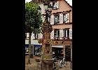 Wissembourg 223