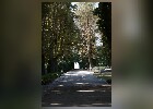 016 Herzogenriedpark MA