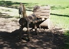 031 Herzogenriedpark MA