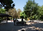 036 Herzogenriedpark MA