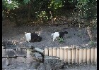 045 Herzogenriedpark MA