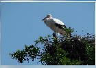 056 Herzogenriedpark MA