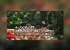 073 Herzogenriedpark MA