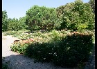 081 Herzogenriedpark MA