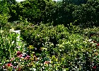 082 Herzogenriedpark MA