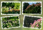 131 Herzogenriedpark MA