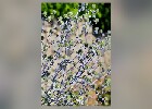 134 Herzogenriedpark MA