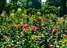 136 Herzogenriedpark MA