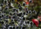 146 Herzogenriedpark MA
