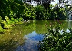 162 Herzogenriedpark MA