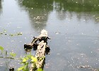 166 Herzogenriedpark MA