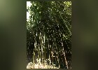 175 Herzogenriedpark MA