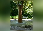 178 Herzogenriedpark MA