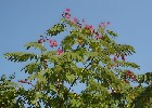 180 Herzogenriedpark MA