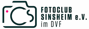 Logo_Sinsheim